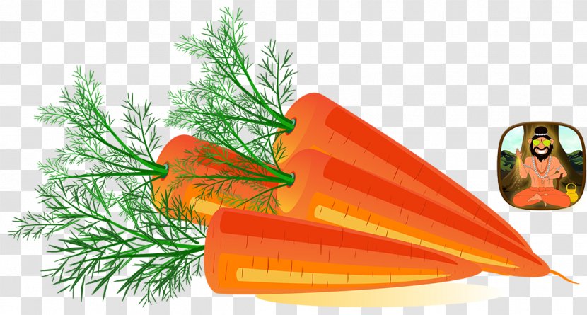 Clip Art Carrot Image Vector Graphics Illustration - Transparent Transparent PNG