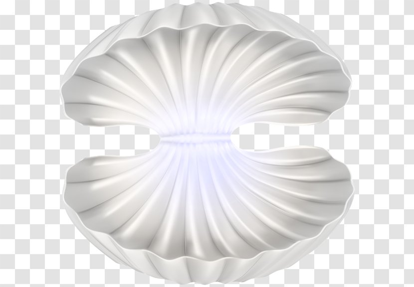 Clam Clip Art - Seashell - Gourmet Transparent PNG