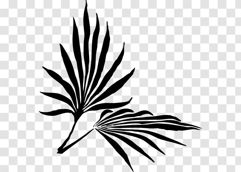 Palm Branch Frond Clip Art - Monochrome - Leaf Transparent PNG