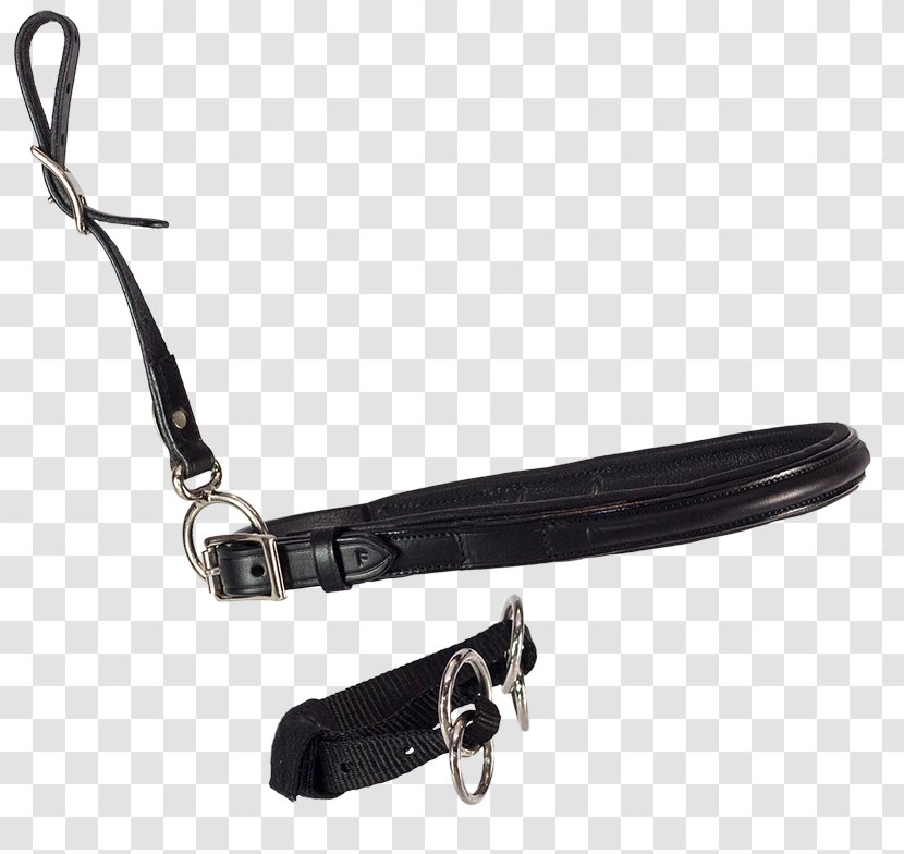 Bitless Bridle Noseband Leash Netherlands - Money - Light Focus Transparent PNG