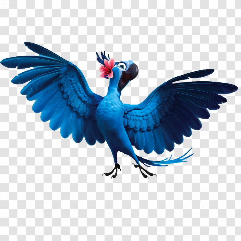 Jewel Blu Nigel Rio Clip Art - Macaw Transparent PNG