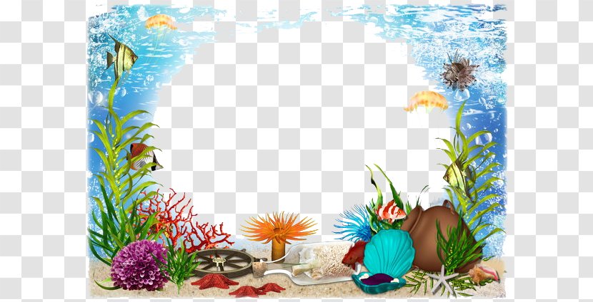 Download Clip Art - Display Resolution - Sea Photos Transparent PNG