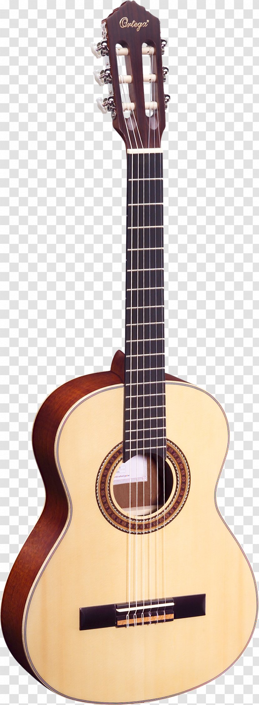 Twelve-string Guitar Steel-string Acoustic Acoustic-electric Musical Instruments - Amancio Ortega Transparent PNG