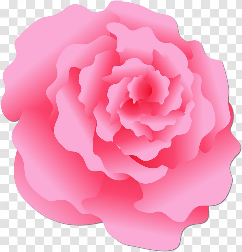 Damask Rose Centifolia Roses Garden Rosaceae Stock Photography - Pink Transparent PNG