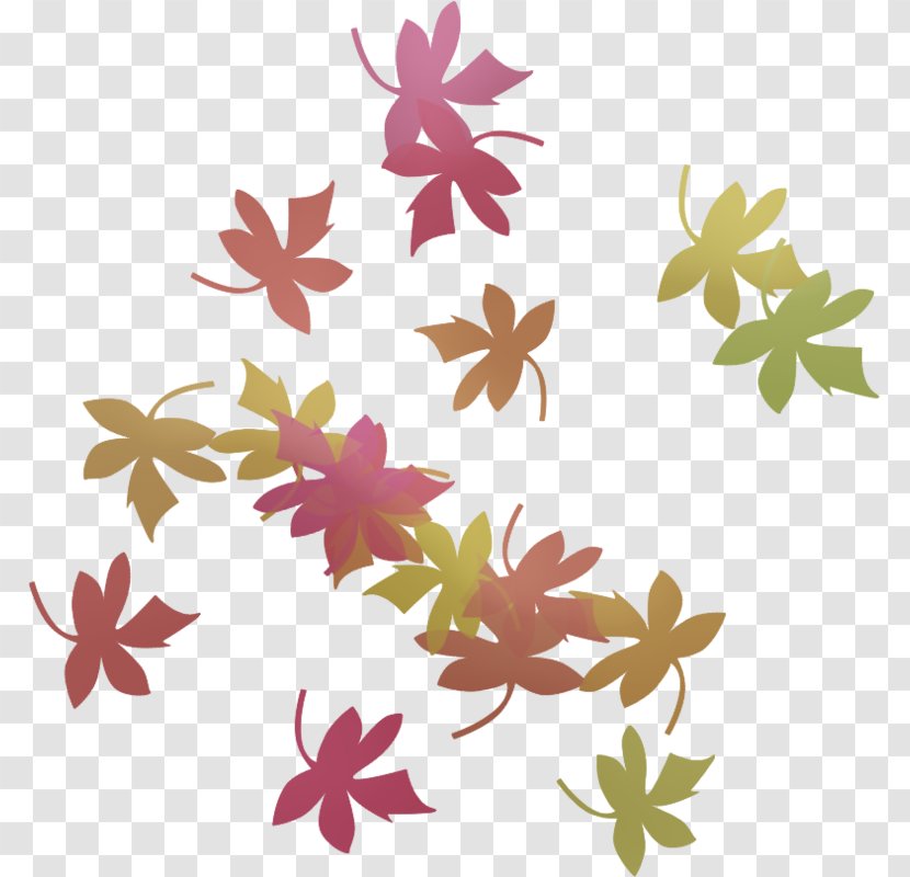 Floral Design Petal Leaf Pattern - Flora Transparent PNG
