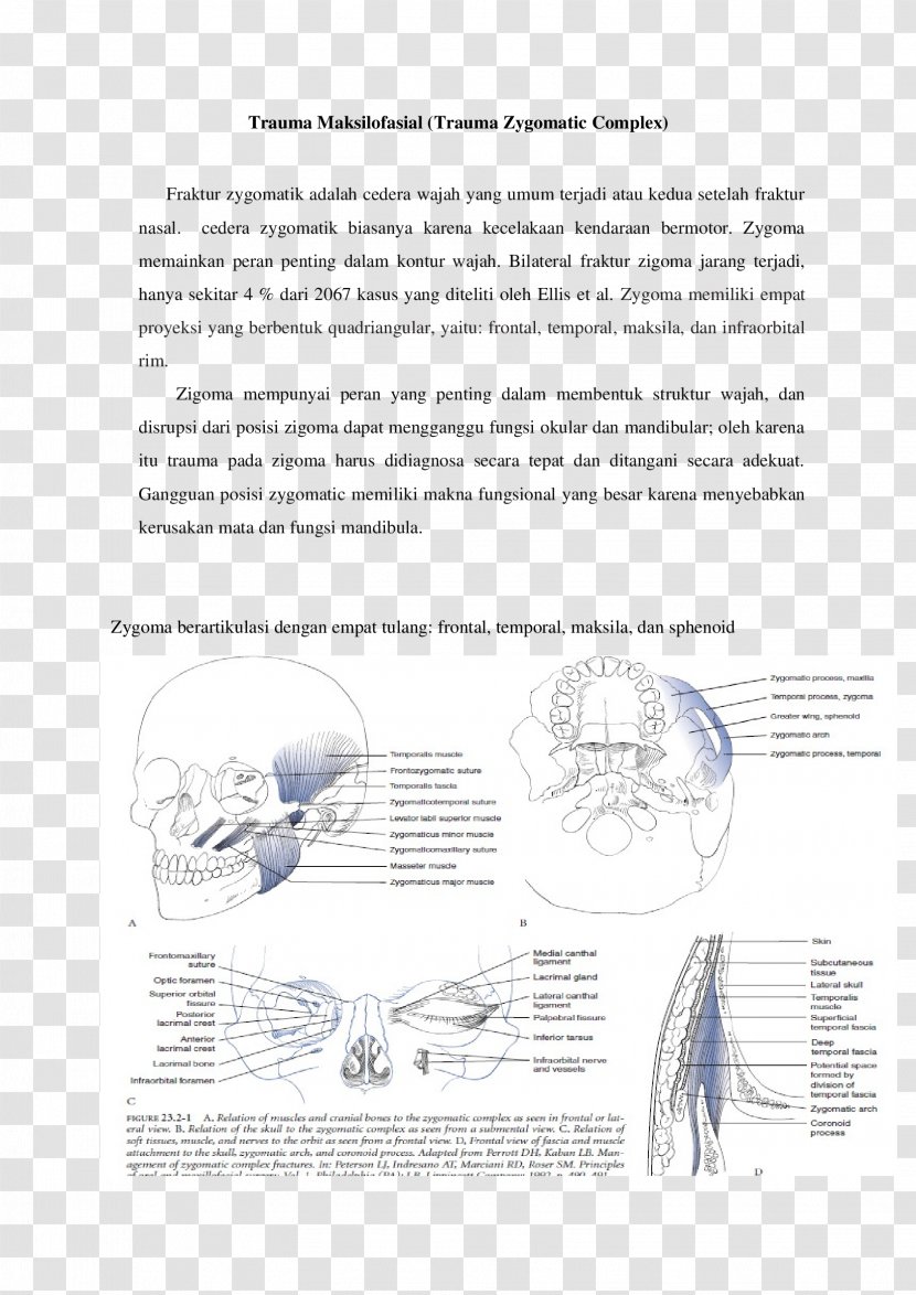 Drawing Document Line /m/02csf - Watercolor Transparent PNG