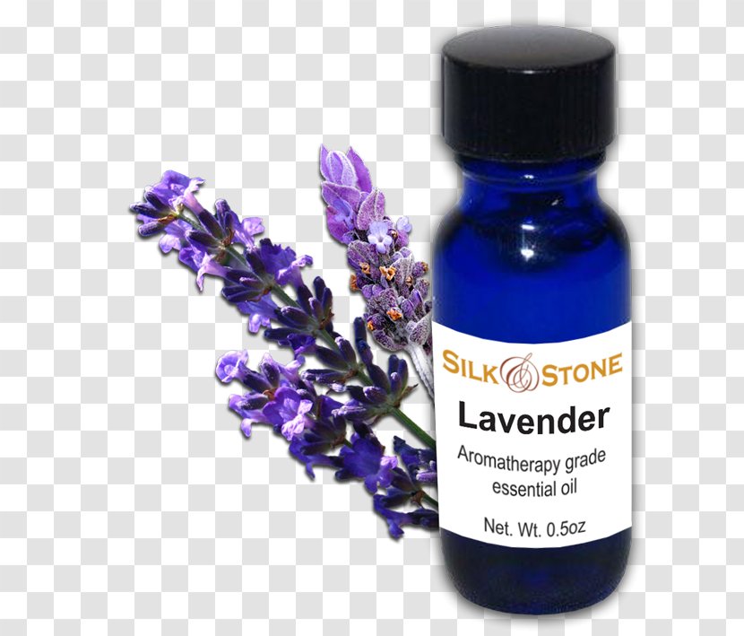 English Lavender Oil Essential Health Transparent PNG