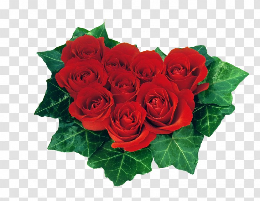 Heart Valentine's Day Rose Red Desktop Wallpaper - Flower Transparent PNG