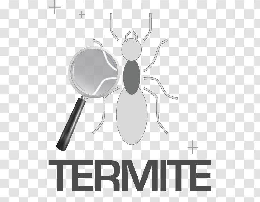 Washington, D.C. Export–Import Bank Of The United States Export Credit Agency - Technology - Termite Transparent PNG