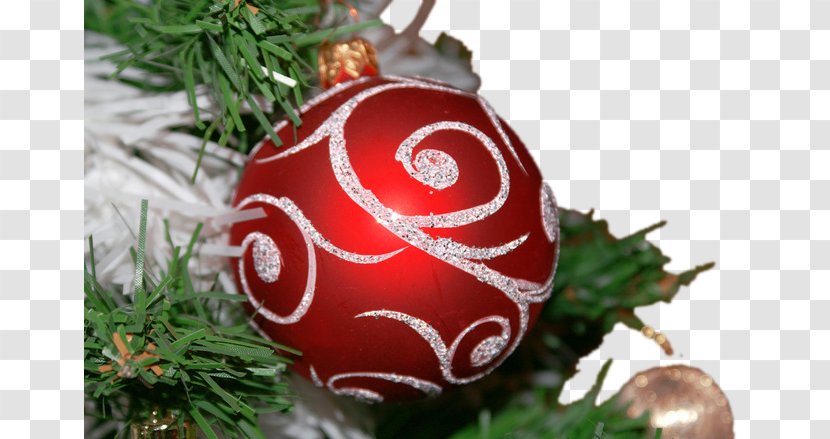 Groningen Eelderwolde Fletcher Familiehotel Paterswolde Christmas Tree - Ornament - Creative Transparent PNG