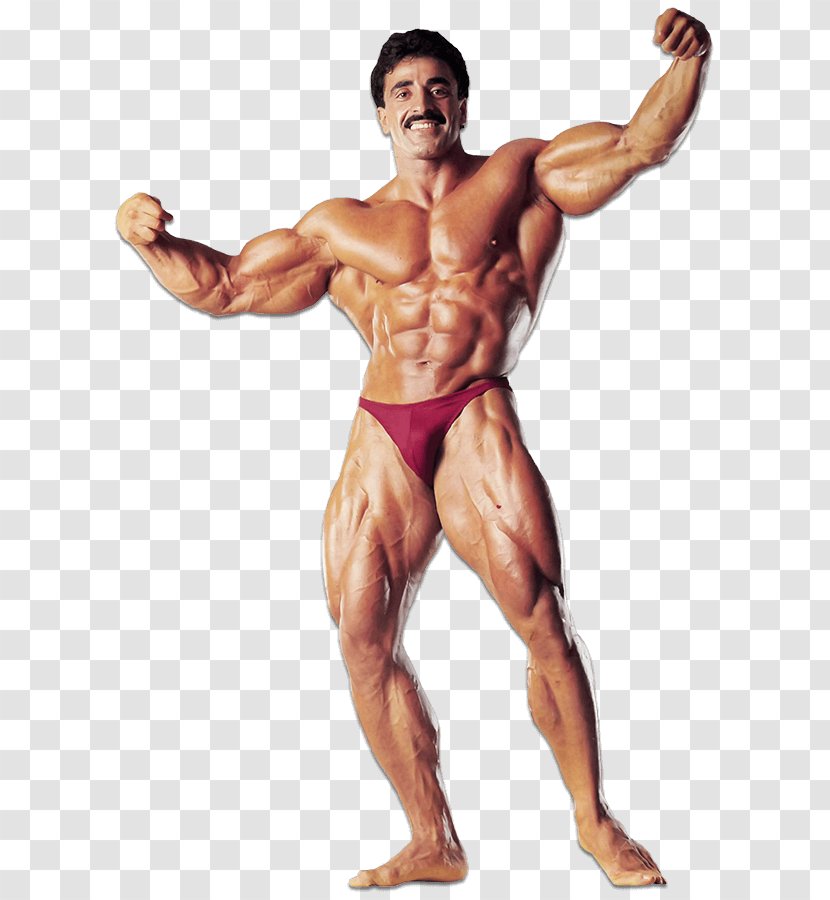 Samir Bannout Mr. Olympia's Muscle Mastery: The Complete Guide To Building And Shaping Your Body Shoulder Arm - Tree Transparent PNG