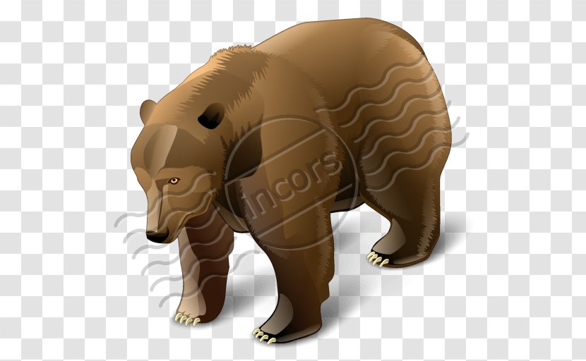 Grizzly Bear - Organism Transparent PNG