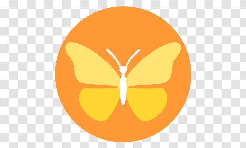 Monarch Butterfly Shoe Suede Nubuck Leather - Pollinator - Orange Transparent PNG