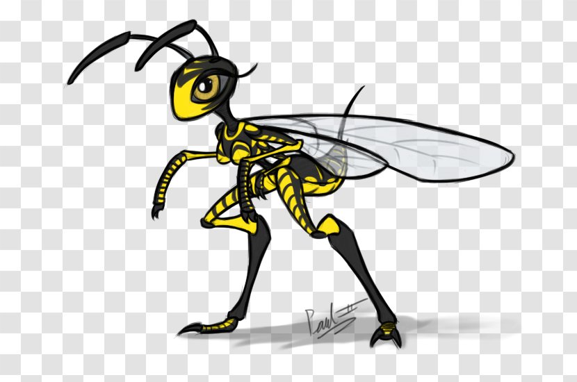 Honey Bee Clip Art Wasp Cartoon - Fly Transparent PNG