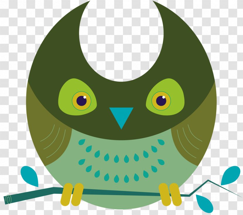 Owl Clip Art Illustration Beak Bird - Of Prey Transparent PNG