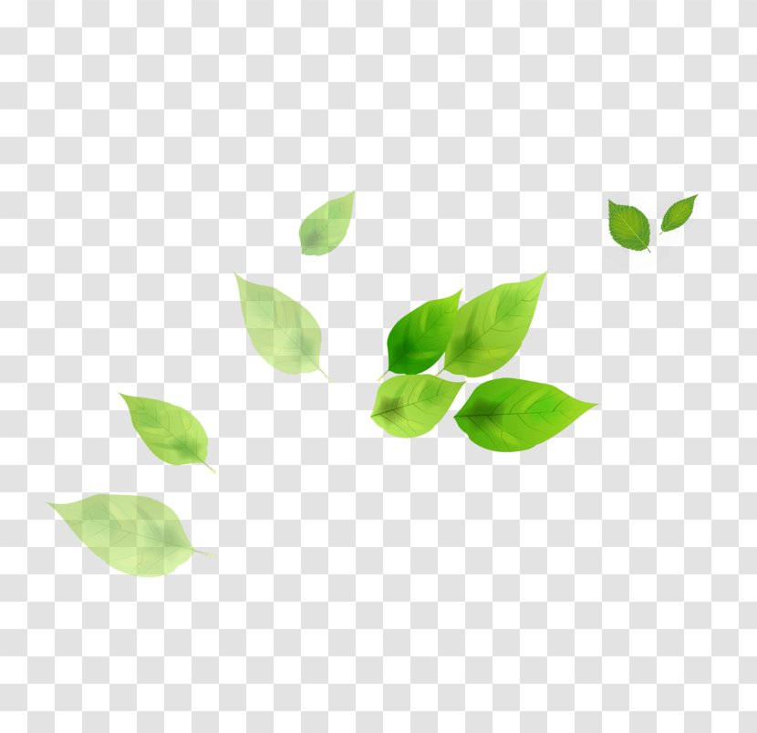 Leaf Image Design Download - Art - Floating Plant Transparent PNG