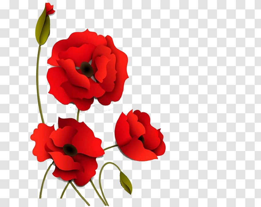 Poppy Flowers Paper - Petal - Three-dimensional Red Transparent PNG