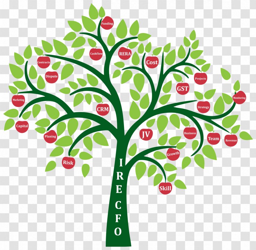 Genealogy Family Tree History Society - Creative Trees Transparent PNG