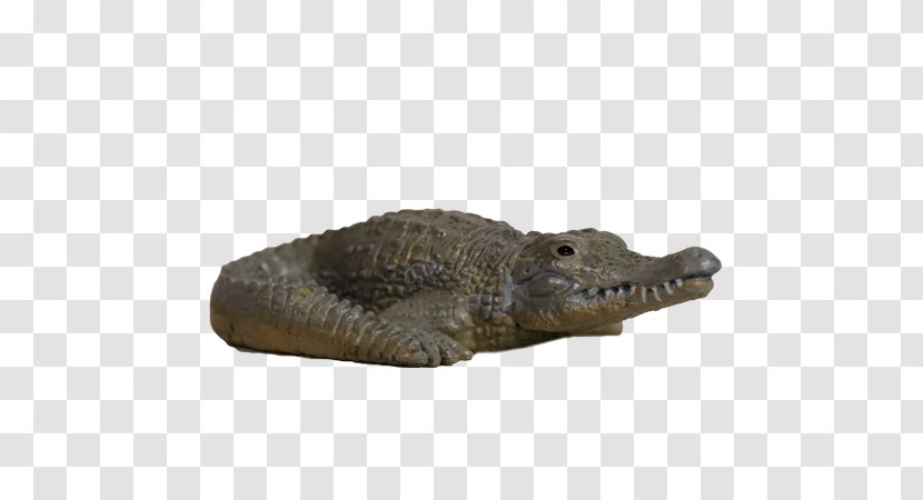 Nile Crocodile Alligator Yowie American - Crocodilia Transparent PNG