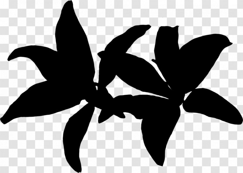 Black & White - M - Clip Art Silhouette Leaf Flowering Plant Transparent PNG