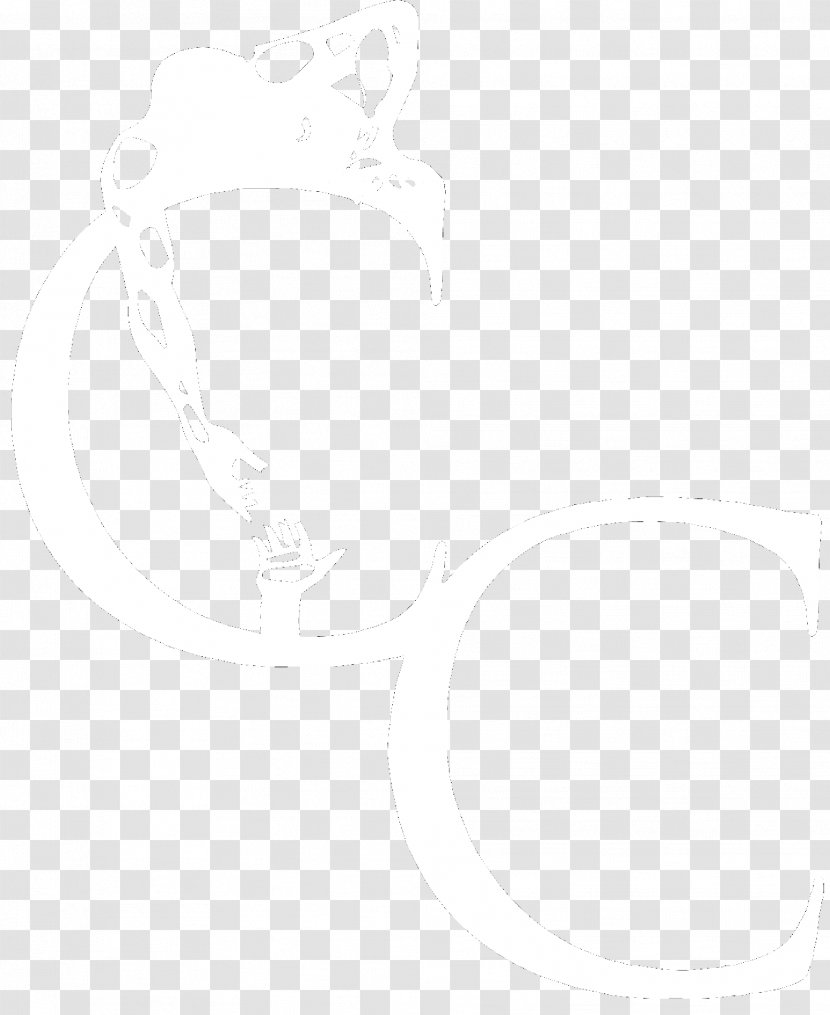 White Circle Sketch - Oval Transparent PNG