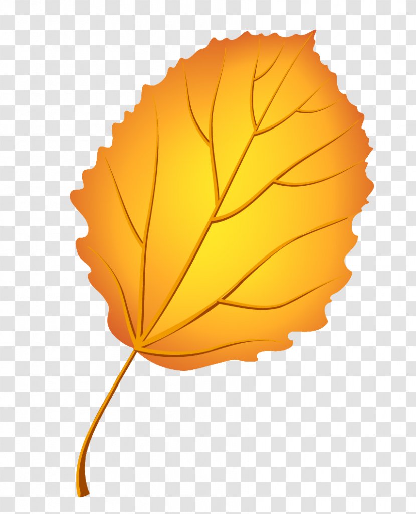 Leaf Image Autumn Leaves Psd - Animation Transparent PNG