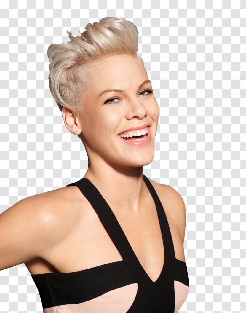 P!nk Person - Silhouette - Alecia Moore Photos Transparent PNG