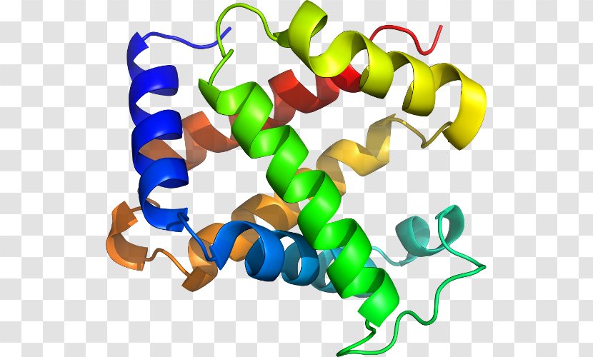 Clip Art Organism Product Line - Deoxygenated Hemoglobin Molecule Transparent PNG