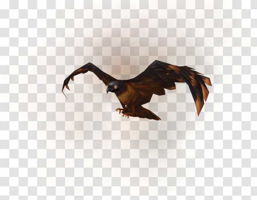 RuneScape Bird Of Prey Hawk Accipitriformes - Game Transparent PNG