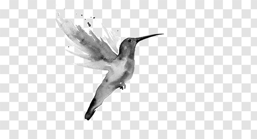 Watercolor Painting Art Hummingbird 水彩色鉛筆 - Photography Transparent PNG