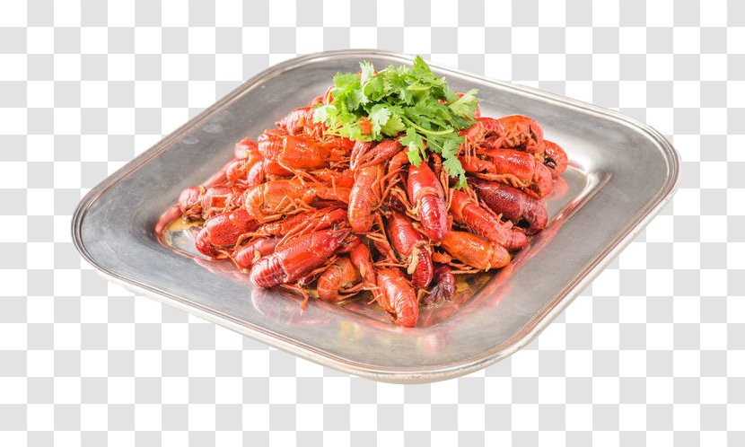 Delicatessen Seafood Boil Lobster Shrimp - Celery Red Transparent PNG