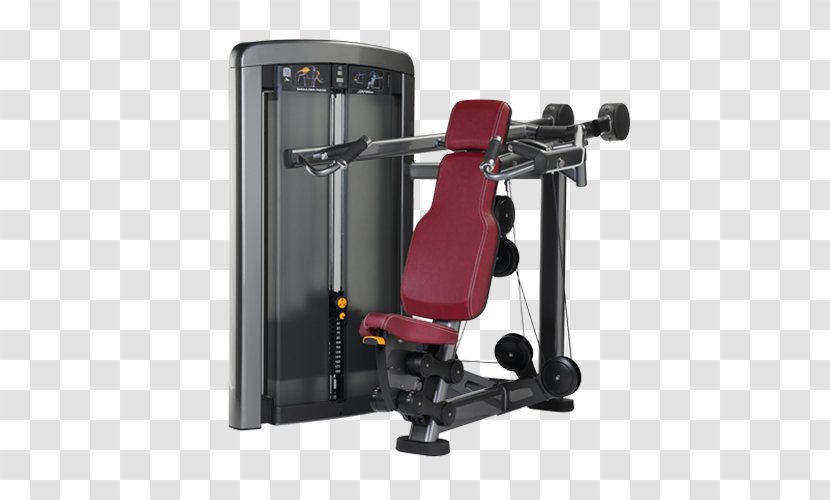 Overhead Press Exercise Equipment Fitness Centre Fly Life - Dip - Shoulder Transparent PNG