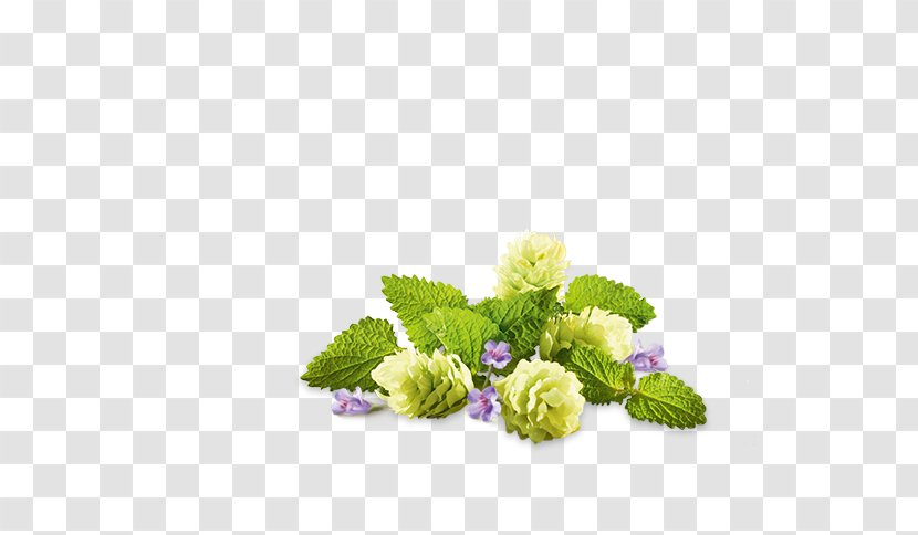 Floral Design Cut Flowers Herbaceous Plant Hydrangea - Flowering - Deko Transparent PNG