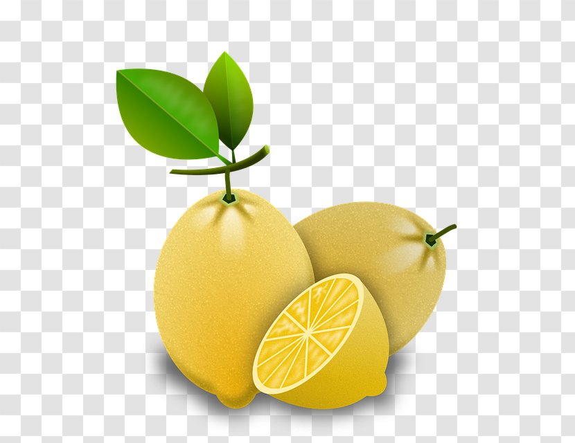 Lemon Key Lime Persian Clip Art - Food Transparent PNG