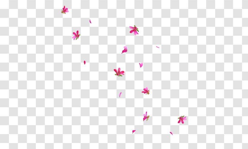 Icon - Drawing - Falling Flowers Transparent PNG