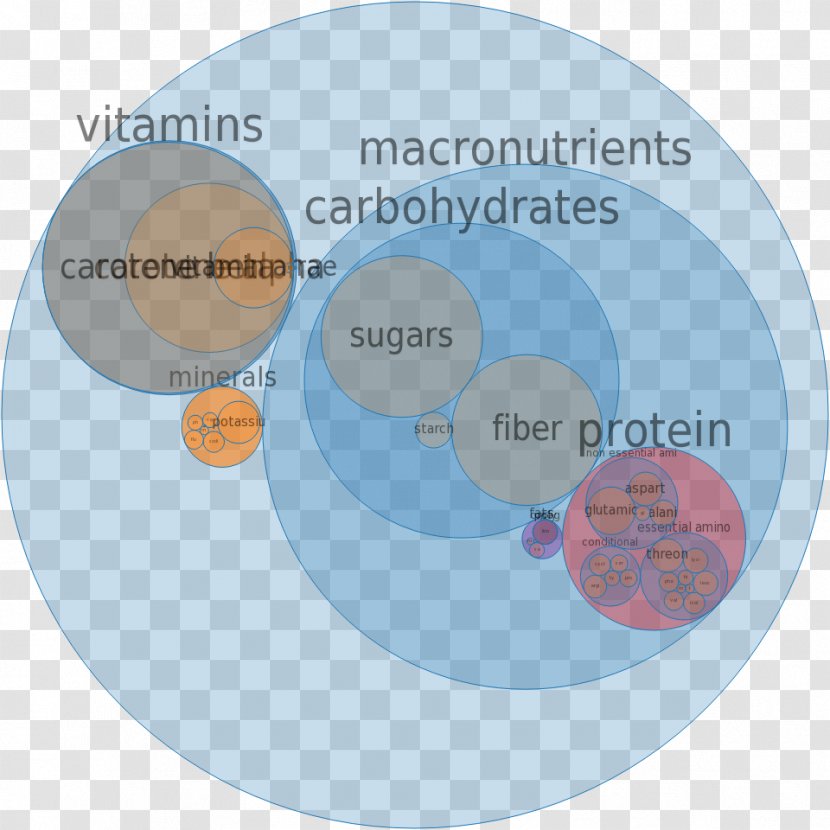 Carrot Nutrition Micronutrient Diet Eating - Opposite Transparent PNG