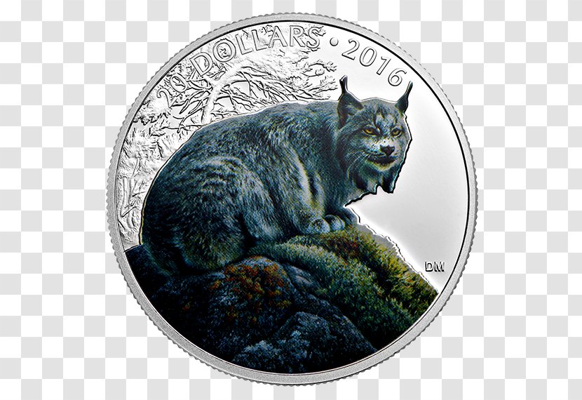 Canada Lynx Wildcat Polar Bear Coin Bobcat - Small To Medium Sized Cats - Canadian Transparent PNG