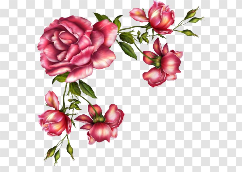 Watercolor Pink Flowers - Artificial Flower - Prickly Rose Peony Transparent PNG