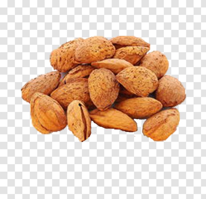 Apricot Kernel Almond Food Peel Candied Fruit - Butter Sweet Shell Transparent PNG