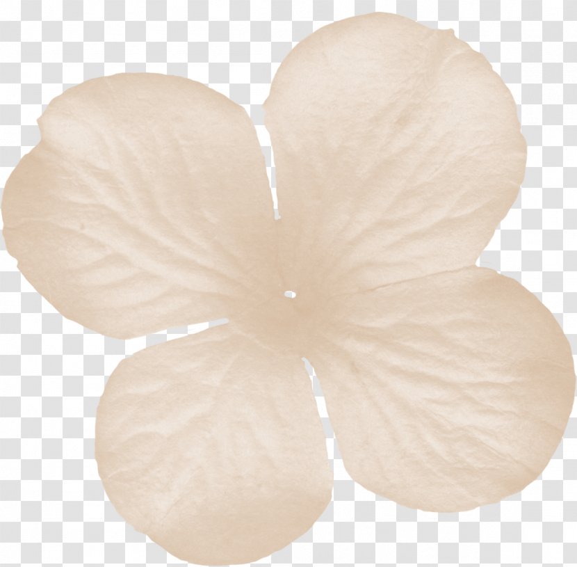 Petal - Flower - Floral Decorative Pattern Transparent PNG