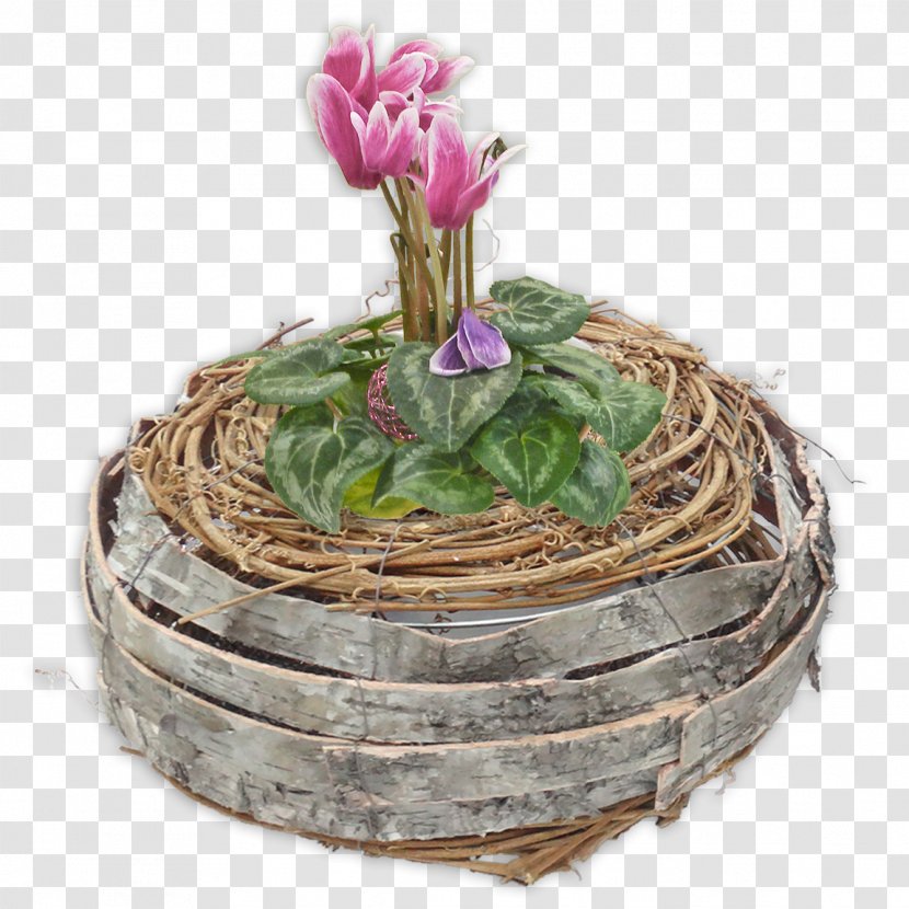 Floral Design Flowerpot - Plant Transparent PNG