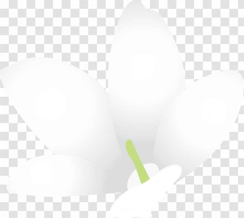 Jasmine Jasmine Flower Transparent PNG