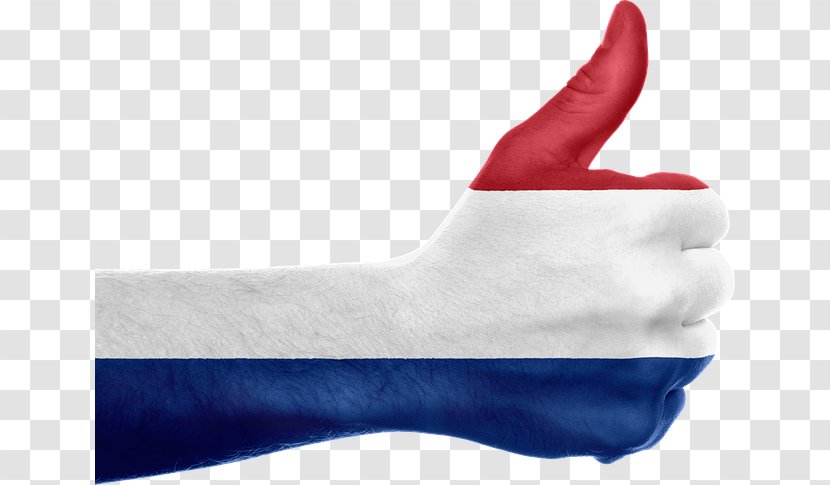 Flag Of The Netherlands Translation European Union Dutch - Neck Transparent PNG