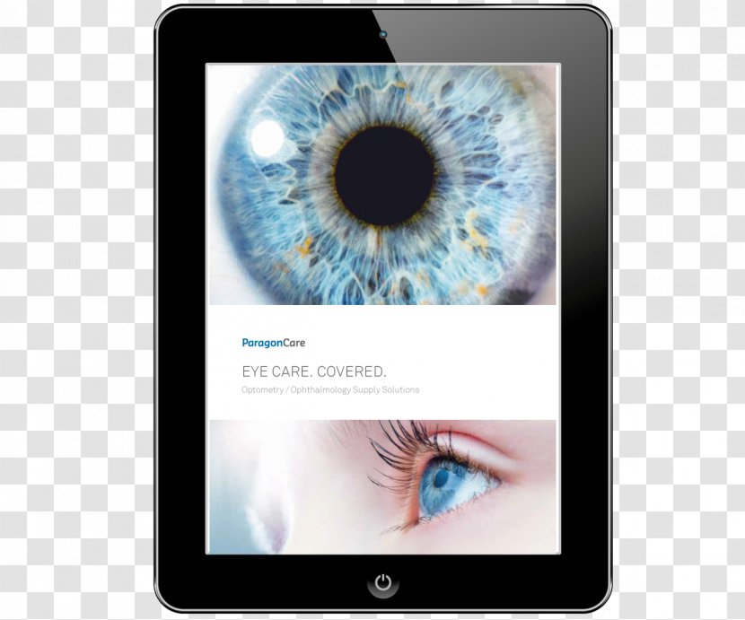 Iris Visual Perception Ophthalmology Eye Care Professional - Cartoon - Optometry Transparent PNG