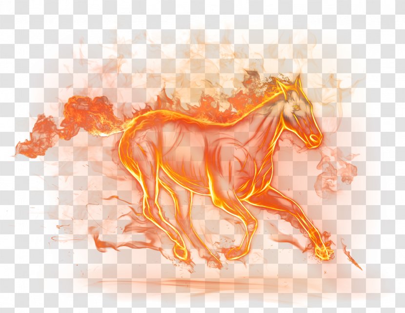 Horse Desktop Wallpaper Fire Clip Art - Organism Transparent PNG