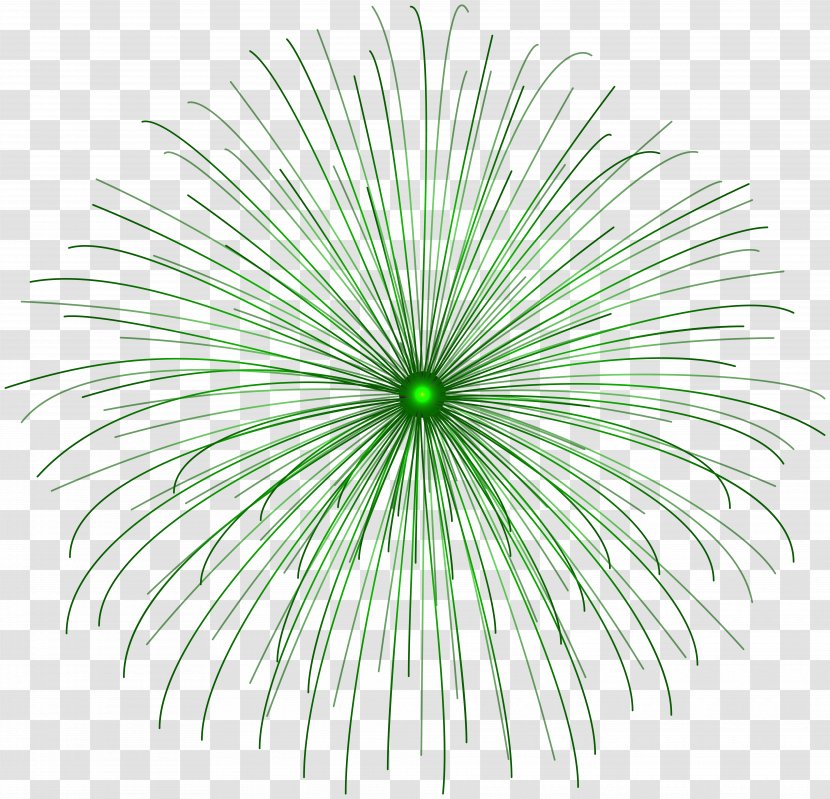Adobe Fireworks Clip Art - Symmetry - Green Firework Circle Transparent PNG