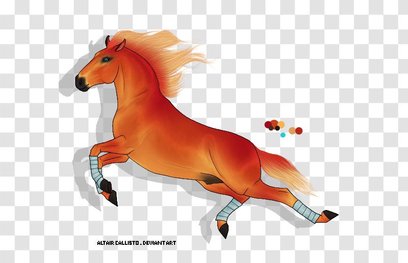 Mustang Stallion Halter Freikörperkultur Snout Transparent PNG