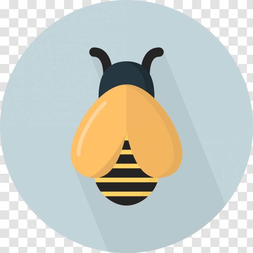 Western Honey Bee Insect - Creative Animal Transparent PNG