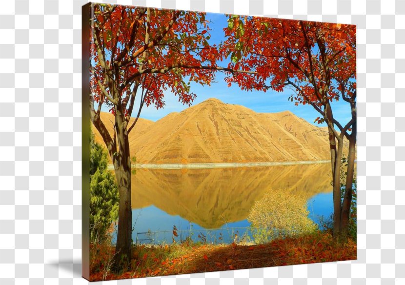 Ecosystem Painting Art Canvas Nature - Drawing Transparent PNG