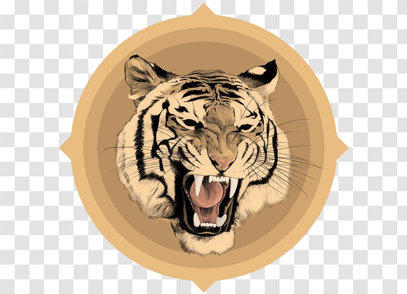 Tiger Drawing Chamo Cartoon Transparent PNG